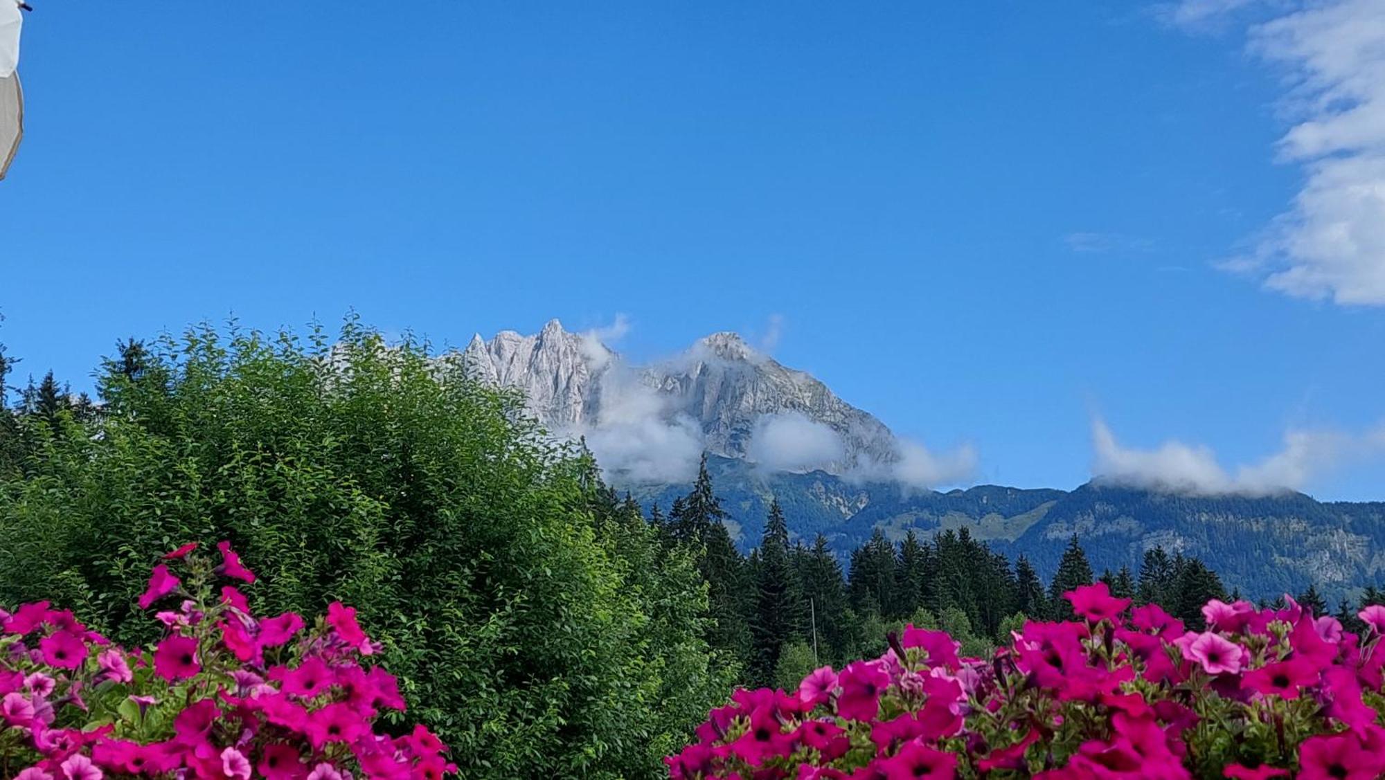 Gartenhotel Rosenhof Bei Kitzbuehel Oberndorf in Tirol Exterior foto